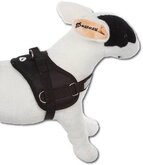 Doxtasy Tuigje Hondentuig Survival harness Black