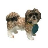 Beeldje schoothondje Shih Tzu bruin/wit 11 cm - Honden beeld