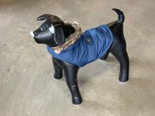 Flamingo Winterjas lennox 45cm voor honden groen