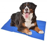 Duvo+ Koelmat - XL - Blauw - 96 x 81 cm