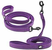 Truelove Hondenriem S 200 CM Paars
