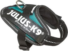 IDC Powerharness Baby 1 (29-36cm) Petrol