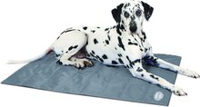 Scruffs Koelmat Hond - Grijs - L: 92 x 69 cm