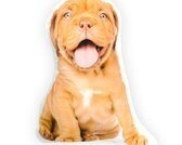 Intimo Sierkussend Hond Bordeaux Dog 35x30cm