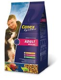 Dynamic adult brocks 3 kg