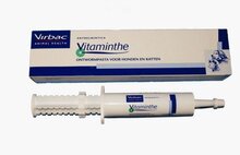Vitaminthe Ontwormpasta - Hond & Kat - 10 ml