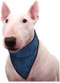 Aqua Coolkeeper Bandana - Blauw - XXL