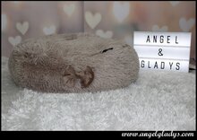 Hondenkussen Angel&Gladys Coussin Rond Idylle Praline 60 cm