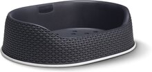Curver - Hondenmand - Antraciet - 67x49x16 cm
