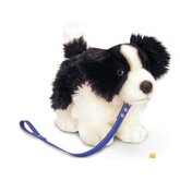 Aangelijnde knuffel Border Collie