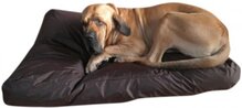Topmast Comfort Kussen Nylon Korrelvulling Bruin 125x90cm