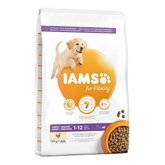 IAMS for Vitality Dog Puppy & Junior Large Kip Hondenvoer - Dubbelpak: 2 x 12 kg