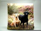Sierkussen hond labradors honden thema dieren