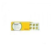 Viacutan Plus - 40 capsules - 550 mg