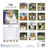 Schotse Herder / Collie Kalender 2019 Avonside