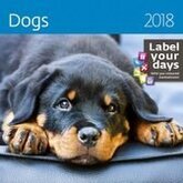 Honden - Dogs Kalender 2018