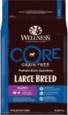 Wellness Core Large Breed Puppy - Hondenvoer - 10 kg