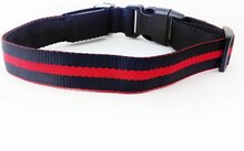 Led Halsband PX5 Rood - 60cm Hond