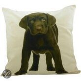 Mars & More Hond Labrador Bruin - Sierkussen - 50x50 cm - Multi
