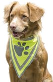 Beeztees Safety Gear Veiligsheidshalsdoek - M