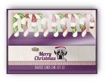 Petbrands buffelhuid kerststok giftset 12,5 cm 8 st