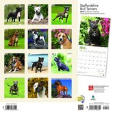 Staffordshire Bull Terrier Kalender 2019 Browntrout