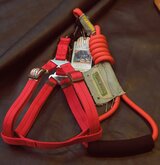 Touchdog Tuig met Lijn - Hond - Tuig - 20 mm - Rood