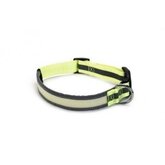 Beeztees Glow In The Dark Veiligheidshalsband Small