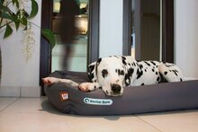 Doctor Bark hondenbed grijs, maat XL