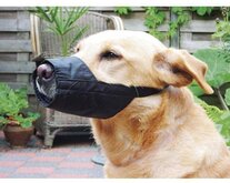 Beeztees Veiligheidsmuilband - Hond - M - 14 cm