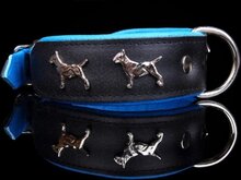 Dog's Companion Leren halsband - Bull Terriër - 45-53 cm x 40 mm - zwart/blauw
