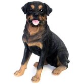 Tuinbeeld Rottweiler waakhond 53 cm