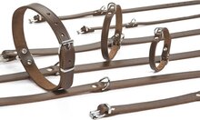 Beeztees - Hondenhalsband - Bruin - 37,5-46,5 cm x 20mm