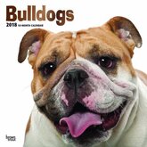Bulldogs kalender 2018