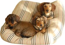 Dog's Companion Hondenkussen - XL -  140 x 95 cm - Country Field Streep