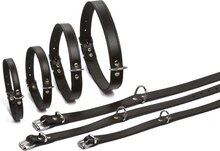 Beeztees - Hondenhalsband - Zwart - 32-37 cm x 16 mm