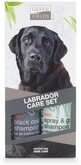 Greenfields Hondenshampoo - Labrador Verzorgingsset - 2x250ml