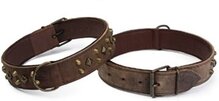 Beeztees Mohican Hondenhalsband - Bruin - M - 52-62 cm x 45 mm