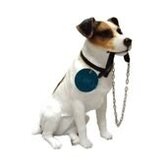 Honden beeldje Jack Russel hond met riem 15 cm