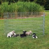 Trixie Nature Puppyren -  Gegalvaniseerd - 154 x 154 x 91 cm