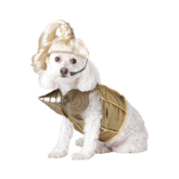 Madonna pakje voor honden