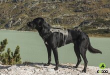 Hondentuig Pro Harness Zwart