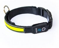 Tractive honden halsband met lichtgevende LED strip (Maat L, 51-67 cm)