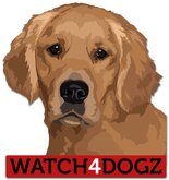 Golden Retriever sticker (set van 2 stickers)