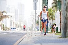EzyDog Soft Trainer Traffic Control Blauw 181 cm X 12 mm