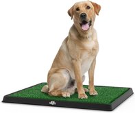 Hondentoilet met 2 kunstgrasmatten - Pet park deluxe - Puppy zindelijk maken - Puppy trainer - Zindelijkheidstraining - Hondenmand - Vervanger van puppy training pads - Indoor & outdoor hondentoilet -  Trainingshulpen hond