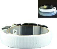 LED Halsband WIT XS