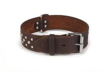 Leren halsband voor hond noppy bruin _70 cm x 45 mm