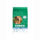 Iams Dog adult kip large breed Hondenvoer 3 kg