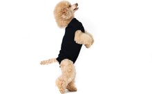 Suitical recovery suit hond zwart s 43-51 cm